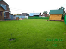 Посевной газон от gazon54.ru. Пример2