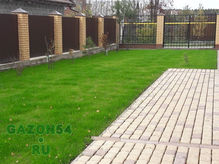 Посевной газон от gazon54.ru. Пример1